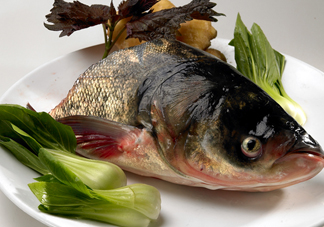 胖頭魚吃什么？胖頭魚怎么殺