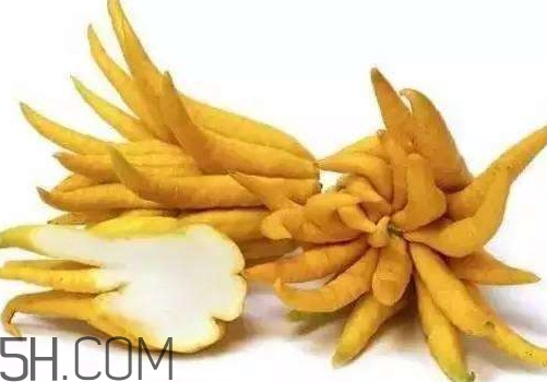 佛手柑是佛手瓜嗎？佛手柑和佛手瓜的區(qū)別