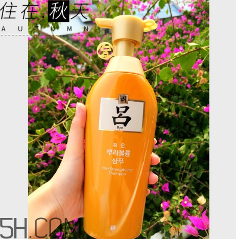 黃呂洗發(fā)水怎么樣？黃呂洗發(fā)水適合人群