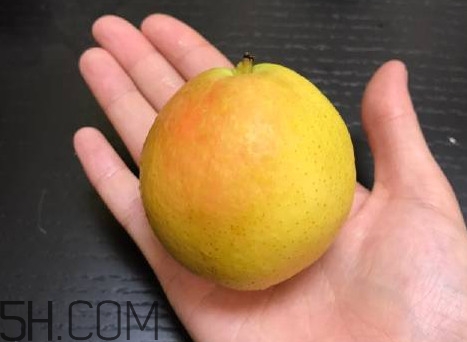 南果梨是發(fā)物嗎？南果梨是酸性還是堿性