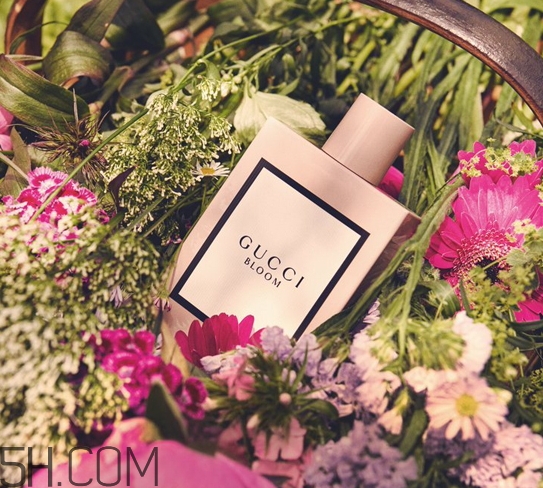 gucci bloom香水多少錢(qián)？gucci bloom香水專(zhuān)柜價(jià)格