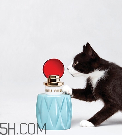 miumiu香水什么檔次？miumiu繆繆香水是哪國的