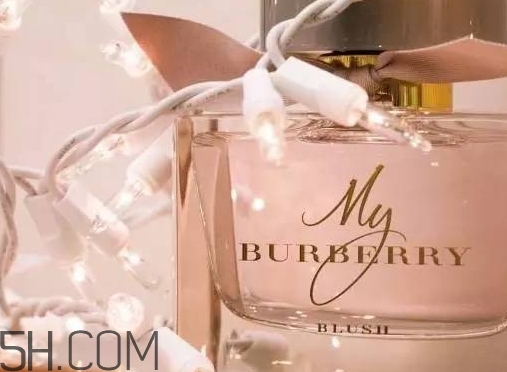 my burberry blush香水怎么樣？my burberry blush好聞嗎？