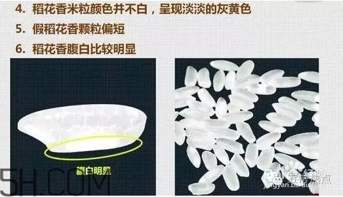 五常大米怎么辨別真假？五常大米和普通米的區(qū)別
