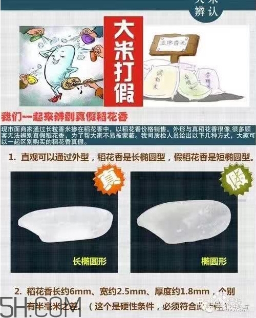 五常大米怎么辨別真假？五常大米和普通米的區(qū)別