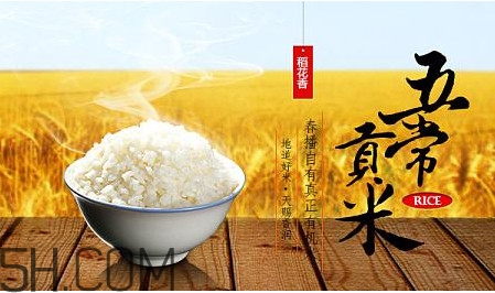 五常大米什么時候種植？五常大米是什么品種