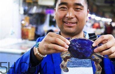 藍色梭子蟹可以吃嗎？梭子蟹蟹腿變藍可以吃嗎