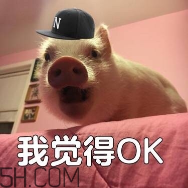 ojbk是什么意思？ojbk表情包