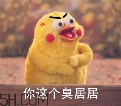 你個(gè)臭居居什么意思？你個(gè)臭居居表情包