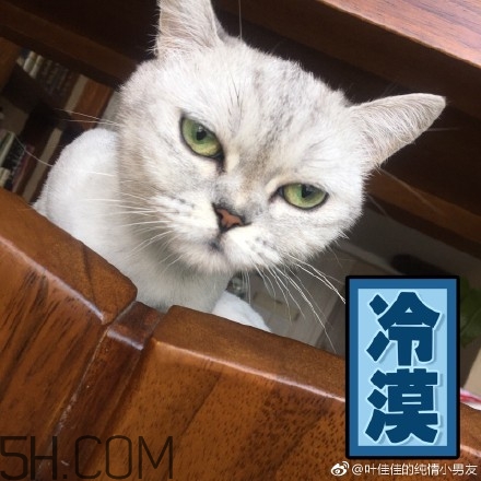 你個(gè)臭居居什么意思？你個(gè)臭居居表情包