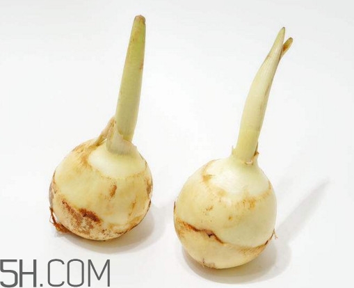 多吃慈菇有什么好處和害處？慈菇怎么保存