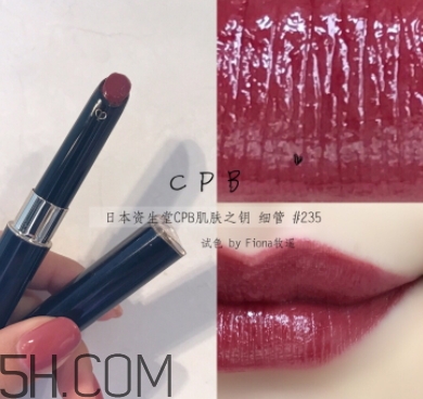 豬肝色口紅哪個牌子好？豬肝色口紅推薦