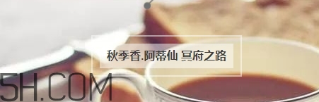 冬天適合什么香水？適合冬天的小眾香型香水推薦