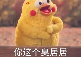 你個(gè)臭居居什么意思？你個(gè)臭居居表情包