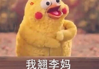 翹李媽什么意思？我翹李媽表情包