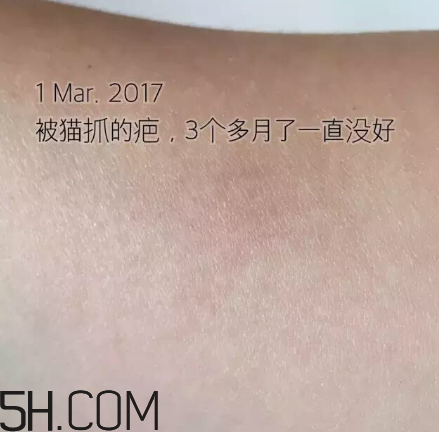 海藍(lán)之謎pk深海四十噚最全測(cè)評(píng) 面霜哪家好？