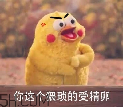 你這個(gè)猥瑣的受精卵是什么意思？你這個(gè)猥瑣的受精卵表情包