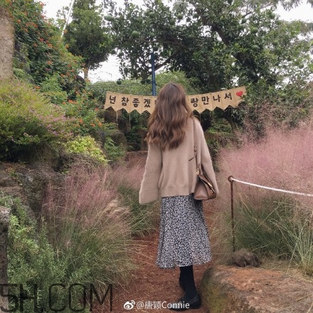 粉黛亂子是什么植物？粉黛亂子草花語