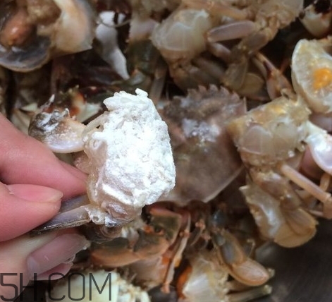 花蓋蟹和梭子蟹哪個好吃？花蓋蟹和梭子蟹區(qū)別