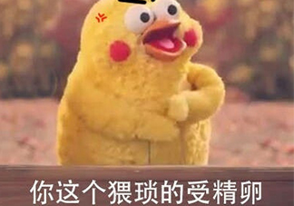 你這個(gè)猥瑣的受精卵是什么意思？你這個(gè)猥瑣的受精卵表情包