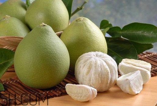 文旦怎么保存？文旦是哪個(gè)地方的特產(chǎn)