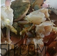 海虹蟹怎么做好吃？海紅蟹的做法