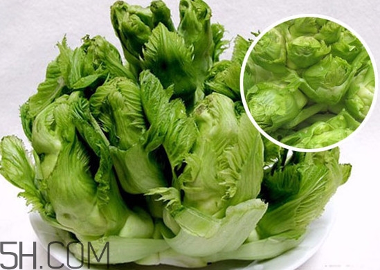 兒菜怎么做好吃？兒菜怎么洗才能洗的干凈
