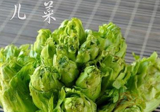 青菜頭是不是兒菜？大頭菜和兒菜的區(qū)別