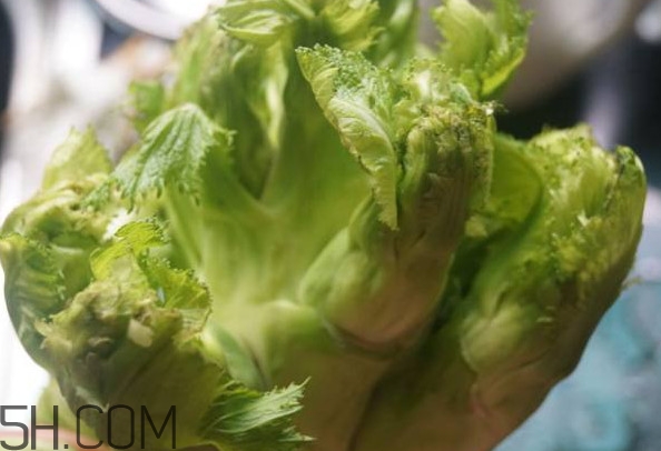 兒菜為什么叫兒菜？兒菜什么季節(jié)吃的