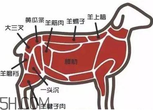 涮羊肉哪個(gè)部位最好吃？涮羊肉都有什么菜？