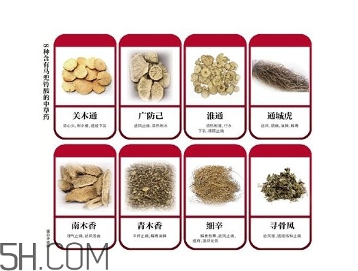 含馬兜鈴酸的藥都不能吃嗎？馬兜鈴酸真的會致癌嗎
