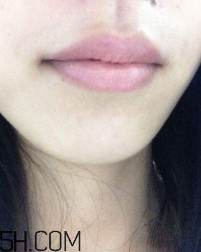 dhc美容液唇膏好嗎？dhc尊貴美容液唇膏試色