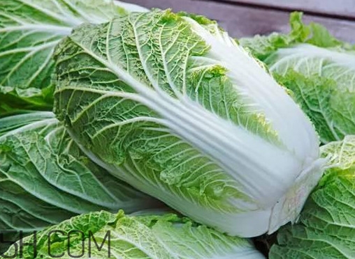 大白菜什么時候種最合適？大白菜怎么做好吃