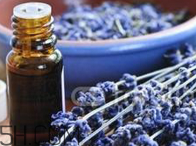 如何用精油護(hù)發(fā)？薰衣草精油護(hù)發(fā)怎么用？