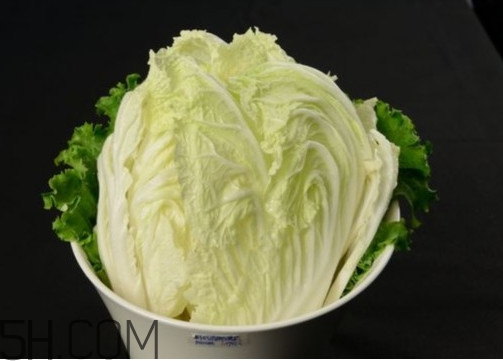 大白菜起源是哪里？大白菜產(chǎn)地分布有哪些