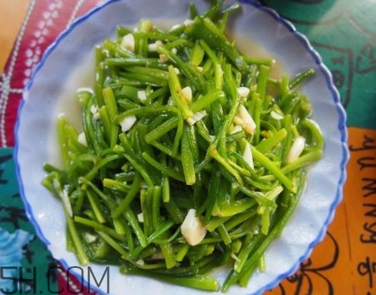 麗江水性楊花是什么菜？水性楊花菜怎么做？