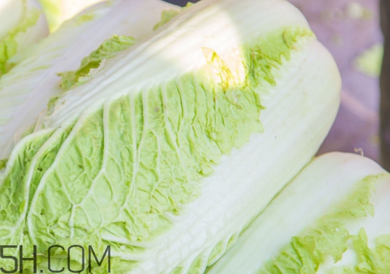 大白菜可以生吃嗎？大白菜可以隔夜吃嗎