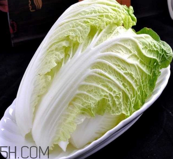 大白菜起源是哪里？大白菜產(chǎn)地分布有哪些