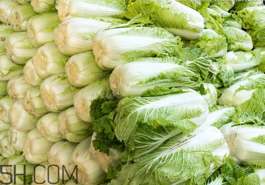 冬儲大白菜怎么才不會壞？冬儲大白菜什么時候上市