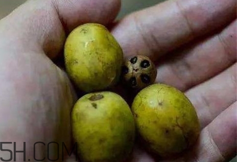 南酸棗可以泡酒嗎？南酸棗果核有什么功效