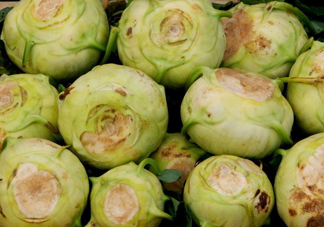 大頭菜是發(fā)物嗎？大頭菜是卷心菜嗎