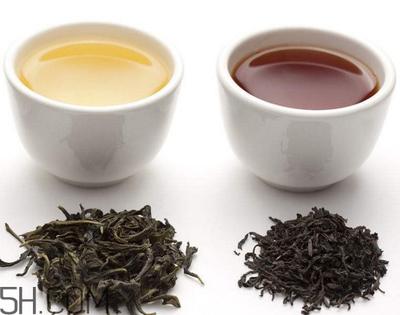 烏龍茶是什么茶？烏龍茶是紅茶還是綠茶
