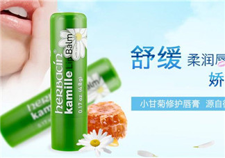 賀本清德國小甘菊潤唇膏好用嗎？賀本清德國小甘菊潤唇膏測評