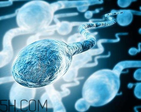 先天性無(wú)精癥怎么辦？先天性無(wú)精癥能治好嗎？