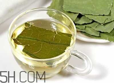 荷葉茶大概哪里有賣？荷葉茶副作用有哪些