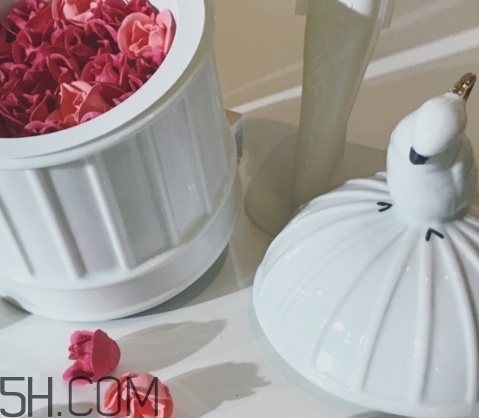 拉杜麗鳥籠腮紅多少錢？laduree2018拉杜麗鳥籠腮紅試色