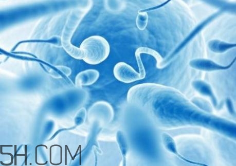 精子不液化是什么原因造成的？精子不液化吃什么藥好？