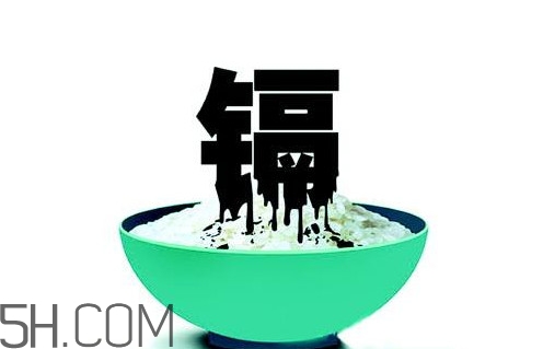 鎘污染會導(dǎo)致什么??？江西大米為何會鎘污染