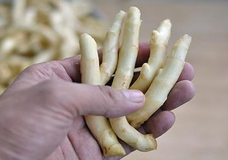 姜芽能吃嗎？姜芽怎么吃