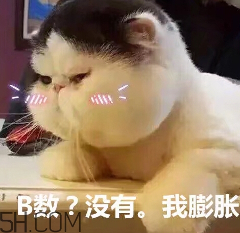 b數(shù)沒有我膨脹什么意思？b數(shù)沒有我膨脹表情包